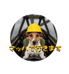 小型犬ジャックラッセルテリア日常編（個別スタンプ：7）