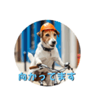 小型犬ジャックラッセルテリア日常編（個別スタンプ：13）