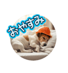 小型犬ジャックラッセルテリア日常編（個別スタンプ：14）