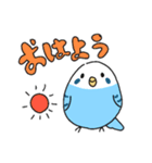 日常で使える！セキセイインコさんスタンプ（個別スタンプ：1）