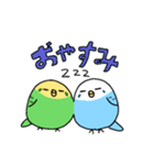 日常で使える！セキセイインコさんスタンプ（個別スタンプ：2）