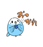 日常で使える！セキセイインコさんスタンプ（個別スタンプ：9）