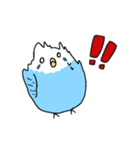 日常で使える！セキセイインコさんスタンプ（個別スタンプ：12）