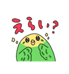 日常で使える！セキセイインコさんスタンプ（個別スタンプ：13）