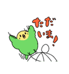 日常で使える！セキセイインコさんスタンプ（個別スタンプ：15）