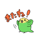 日常で使える！セキセイインコさんスタンプ（個別スタンプ：16）
