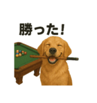 ビリヤード ゴールデンレトリバー版（個別スタンプ：3）