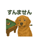 ビリヤード ゴールデンレトリバー版（個別スタンプ：9）