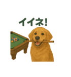 ビリヤード ゴールデンレトリバー版（個別スタンプ：11）