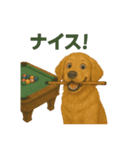 ビリヤード ゴールデンレトリバー版（個別スタンプ：12）