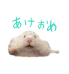 楽しいハムず大集合（個別スタンプ：9）