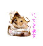 楽しいハムず大集合（個別スタンプ：11）