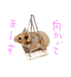 楽しいハムず大集合（個別スタンプ：16）