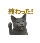 週末だ！ロシアンブルー猫のご褒美スタンプ（個別スタンプ：11）