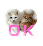 ぴよ家 成猫ver.（個別スタンプ：15）