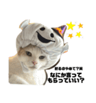 ぴよ家 成猫ver.（個別スタンプ：30）