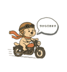 トイプードルkomugiさん（個別スタンプ：1）