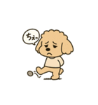 トイプードルkomugiさん（個別スタンプ：4）
