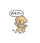 トイプードルkomugiさん（個別スタンプ：6）