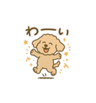 トイプードルkomugiさん（個別スタンプ：13）
