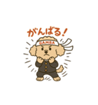 トイプードルkomugiさん（個別スタンプ：20）