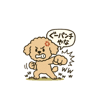 トイプードルkomugiさん（個別スタンプ：23）
