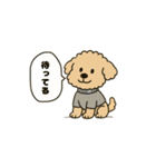 トイプードルkomugiさん（個別スタンプ：25）