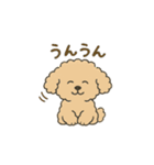 トイプードルkomugiさん（個別スタンプ：35）