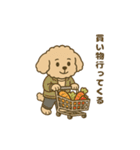 トイプードルkomugiさん（個別スタンプ：36）