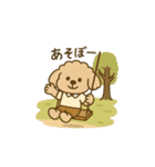 トイプードルkomugiさん（個別スタンプ：37）
