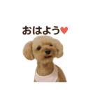 月愛ちゃんご挨拶（個別スタンプ：1）