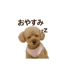 月愛ちゃんご挨拶（個別スタンプ：3）