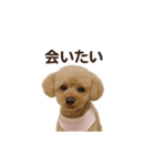 月愛ちゃんご挨拶（個別スタンプ：6）