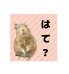 デグーの雪丸（個別スタンプ：2）
