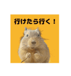 デグーの雪丸（個別スタンプ：6）