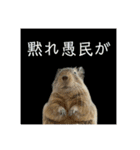デグーの雪丸（個別スタンプ：8）