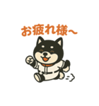 黒豆柴 定番スタンプ 野球バージョン（個別スタンプ：11）