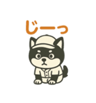黒豆柴 定番スタンプ 野球バージョン（個別スタンプ：13）