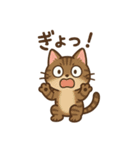 しっぽのひとこと（個別スタンプ：7）