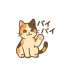 しっぽのひとこと（個別スタンプ：8）