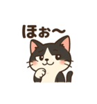 しっぽのひとこと（個別スタンプ：22）