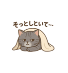 しっぽのひとこと（個別スタンプ：24）