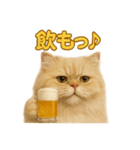 週末だ！ペルシャ猫の華金ご褒美スタンプ（個別スタンプ：4）