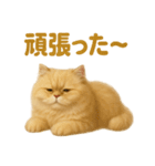 週末だ！ペルシャ猫の華金ご褒美スタンプ（個別スタンプ：8）