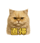 週末だ！ペルシャ猫の華金ご褒美スタンプ（個別スタンプ：9）