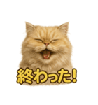週末だ！ペルシャ猫の華金ご褒美スタンプ（個別スタンプ：11）
