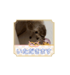 動くもち！（個別スタンプ：14）