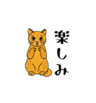 アクションk-gigi15（個別スタンプ：1）