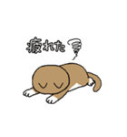 アクションk-gigi15（個別スタンプ：5）