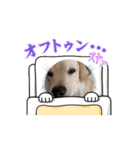 チワックス「クッキー」の日常スタンプ（個別スタンプ：8）